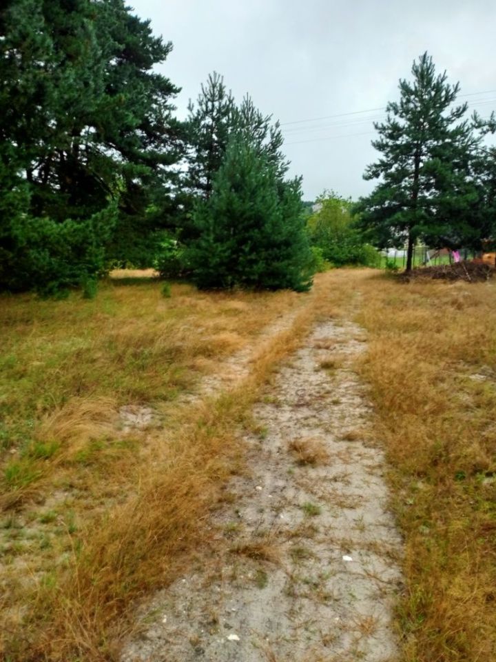 Działka rolno-budowlana Rzędkowice. Zdjęcie 2