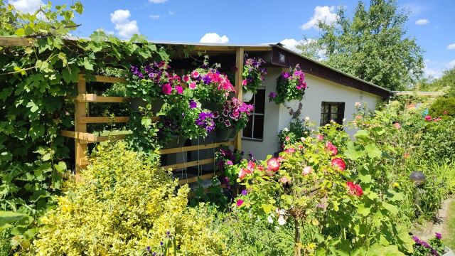 Działka rod Nowa Sól. Zdjęcie 1