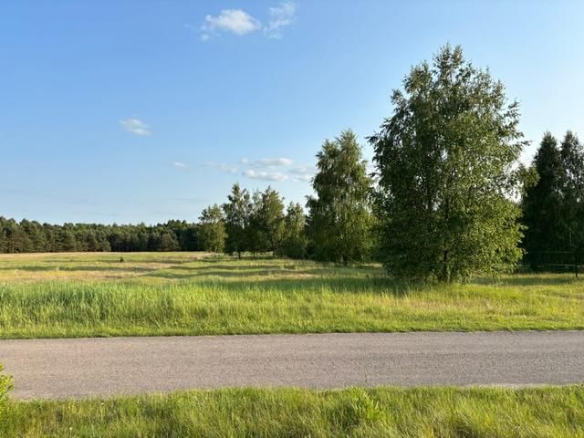 Działka rekreacyjna Krasice. Zdjęcie 2