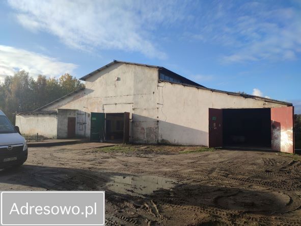 Hala/magazyn Polkowice. Zdjęcie 9