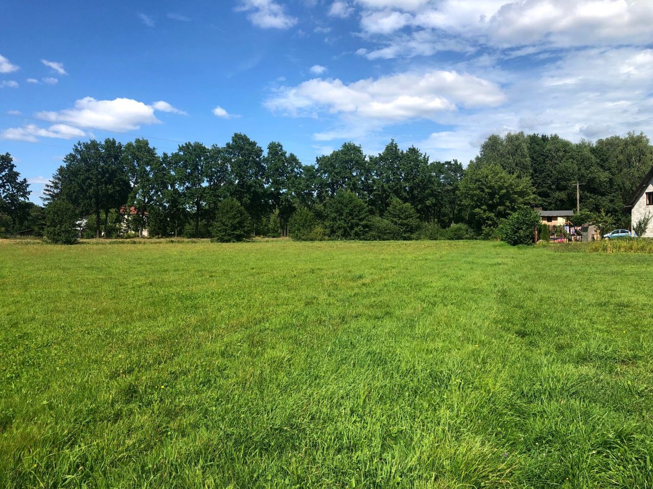 Działka budowlana Zalesie. Zdjęcie 2