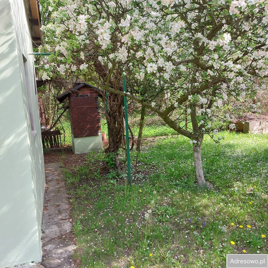 Działka rod Gliwice, ul. Akademicka. Zdjęcie 2