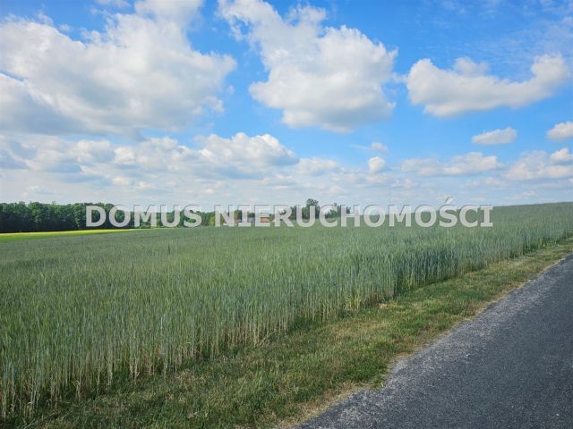 Działka Tworzyjanki. Zdjęcie 6