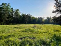 Działka budowlana Sosnowiec Cieśle, ul. Kolonia Cieśle. Zdjęcie 1