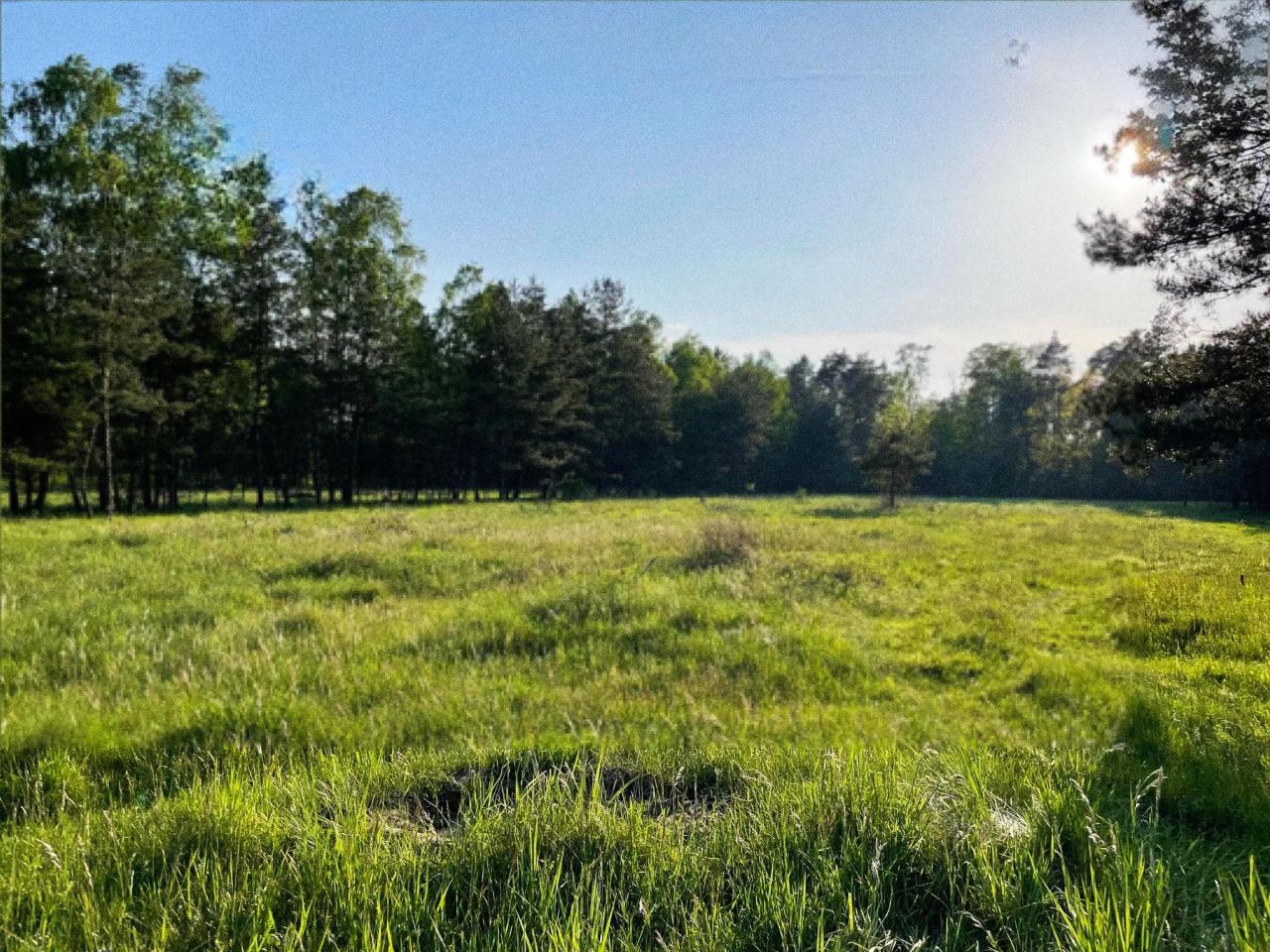 Działka budowlana Sosnowiec Cieśle, ul. Kolonia Cieśle. Zdjęcie 2