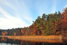 Działka rolna Elganowo. Zdjęcie 2