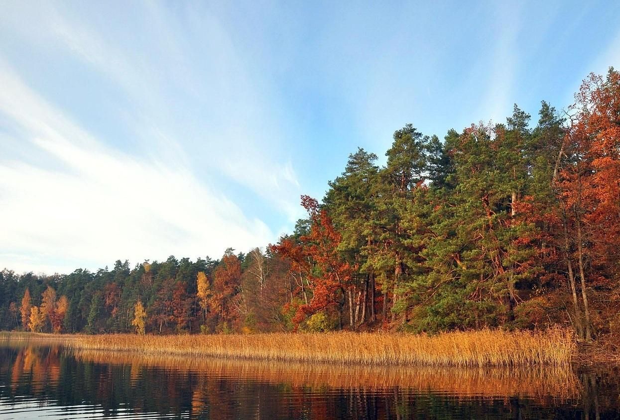 Działka rolna Elganowo. Zdjęcie 3