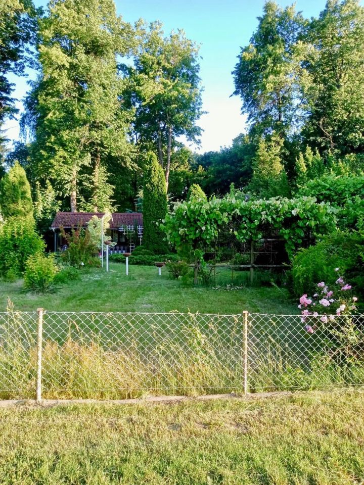 Działka rod Lublin, ul. Osmolicka. Zdjęcie 3