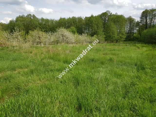 Działka budowlana Wola Pękoszewska. Zdjęcie 1