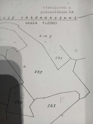Działka leśna Zawadka. Zdjęcie 1