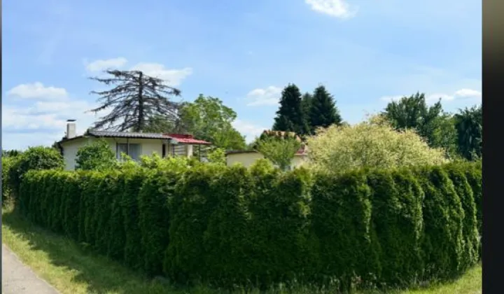 Działka rod Łódź Łagiewniki, ul. Przyklasztorze