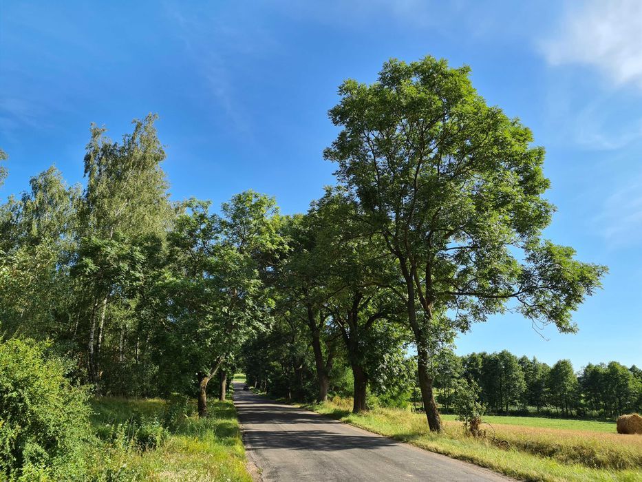 Działka Słowikowo. Zdjęcie 2