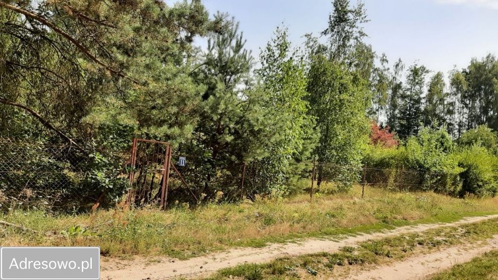 Działka budowlana Ludowinka, ul. Akacjowa. Zdjęcie 6