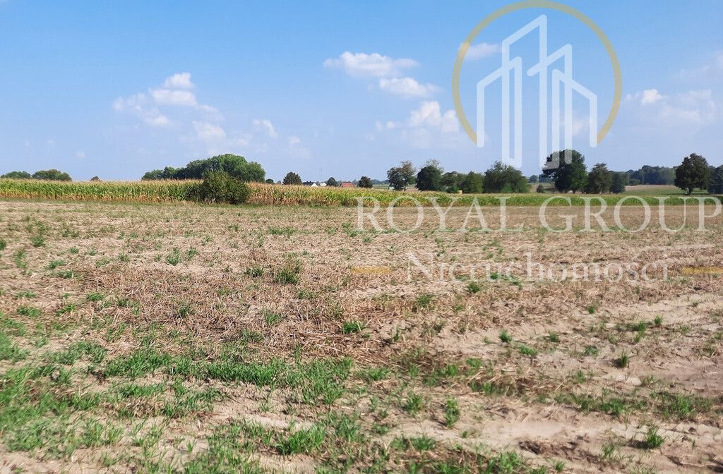 Działka rolna Rudno. Zdjęcie 4