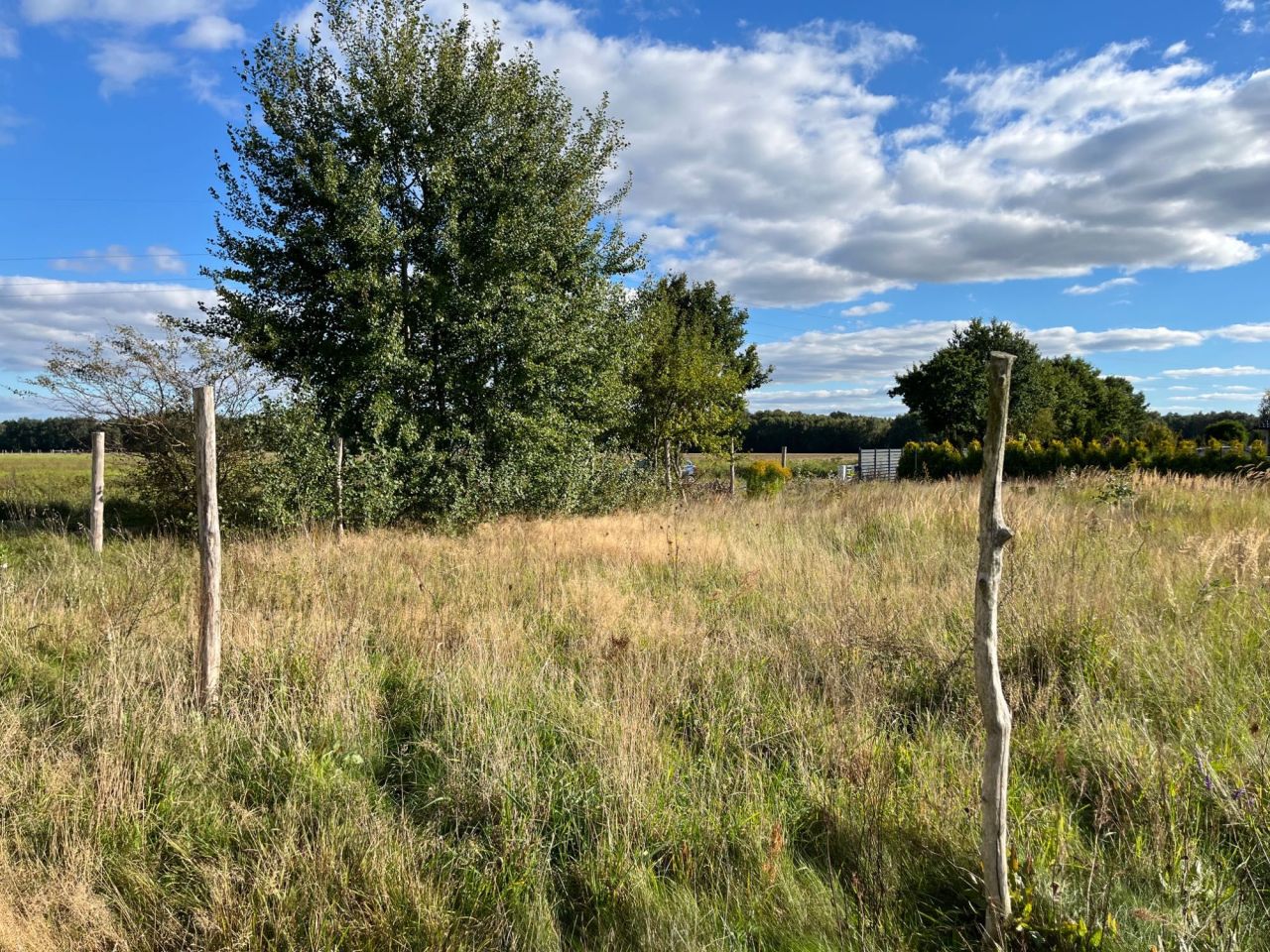 Działka budowlana Gardna. Zdjęcie 8