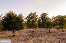 Działka budowlana Bydgoszcz Piaski, ul. ks. Augustyna Szamarzewskiego. Zdjęcie 2