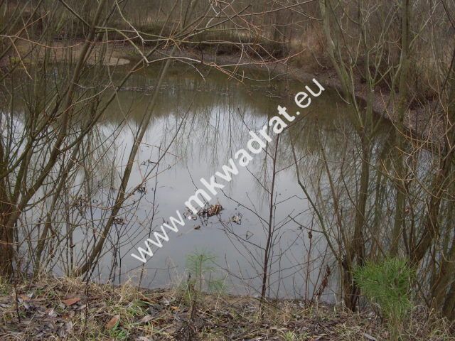 Działka rolna Korabiewice. Zdjęcie 9