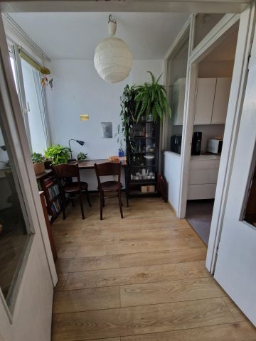 Mieszkanie 3-pokojowe Wrocław Stare Miasto, pl. Ludwika Hirszfelda. Zdjęcie 7