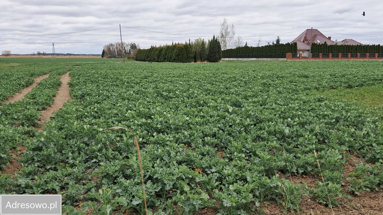 Działka budowlana Michałowice. Zdjęcie 4