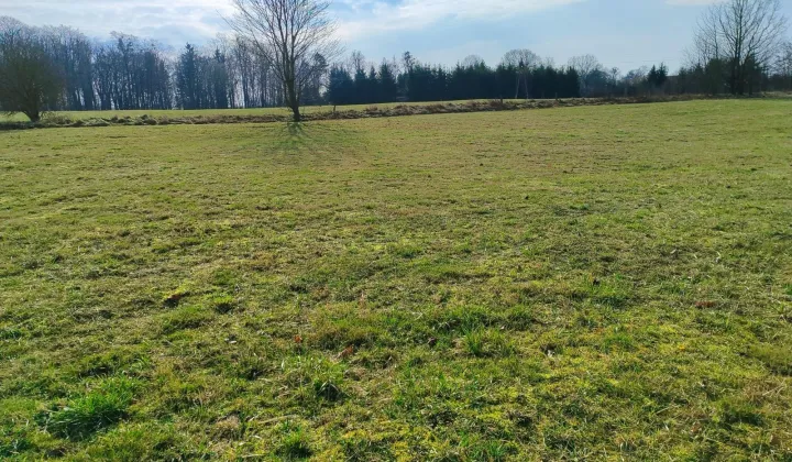 Działka siedliskowa Siniec