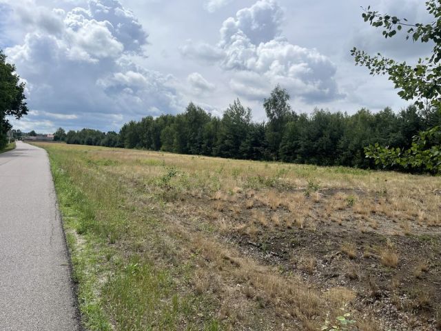 Działka budowlana Łysobyki. Zdjęcie 1