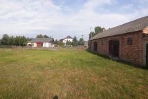 Działka rolno-budowlana Nowy Orzechów. Zdjęcie 3