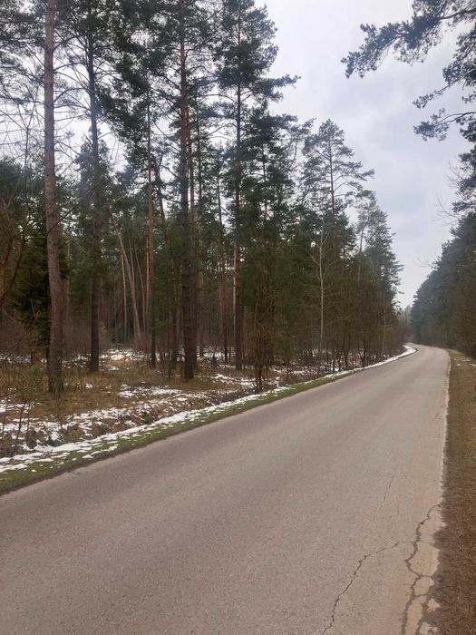 Działka inwestycyjna Huta Szumy. Zdjęcie 2