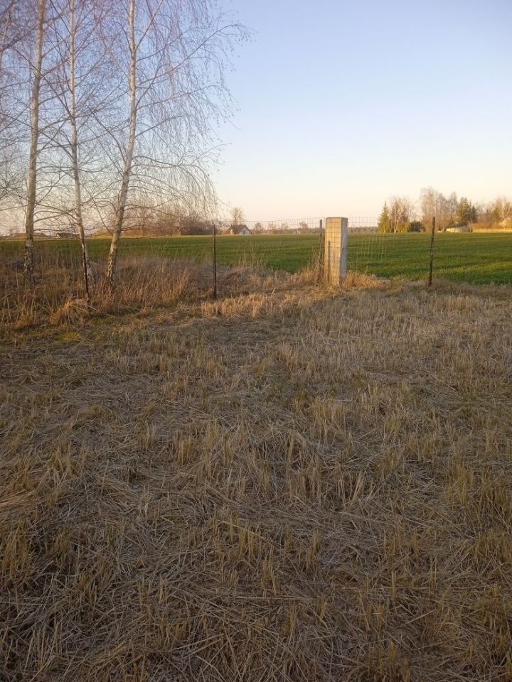 Działka budowlana Długie. Zdjęcie 6