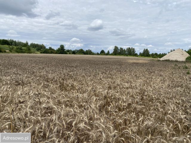 Działka inwestycyjna Sulechów, ul. Warszawska. Zdjęcie 1