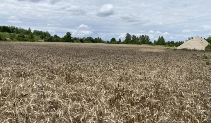 Działka inwestycyjna Sulechów, ul. Warszawska