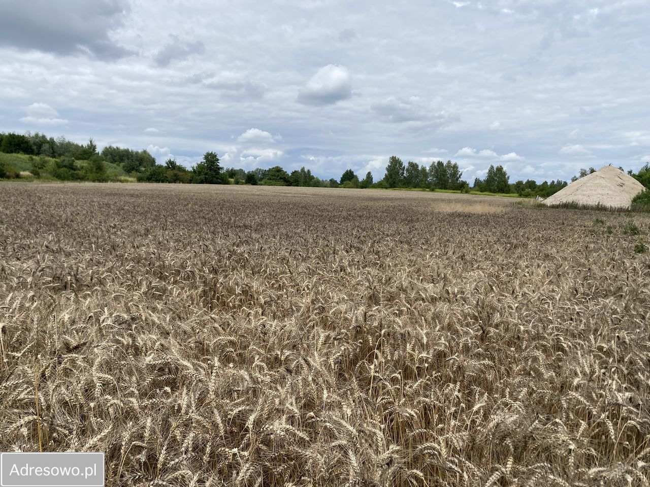 Działka inwestycyjna Sulechów, ul. Warszawska