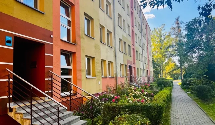 Mieszkanie 3-pokojowe Katowice Wełnowiec, ul. prof. Jana Mikusińskiego