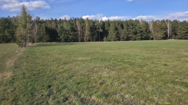 Działka budowlana Jeziorno. Zdjęcie 1