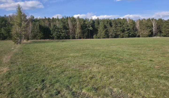 Działka budowlana Jeziorno