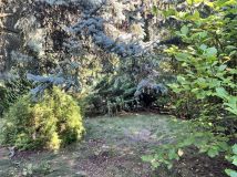 Działka rod Łódź Księży Młyn, ul. Milionowa. Zdjęcie 2