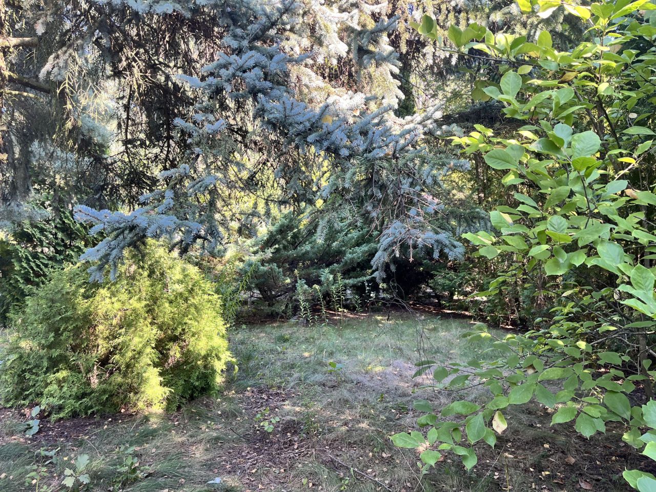 Działka rod Łódź Księży Młyn, ul. Milionowa. Zdjęcie 3