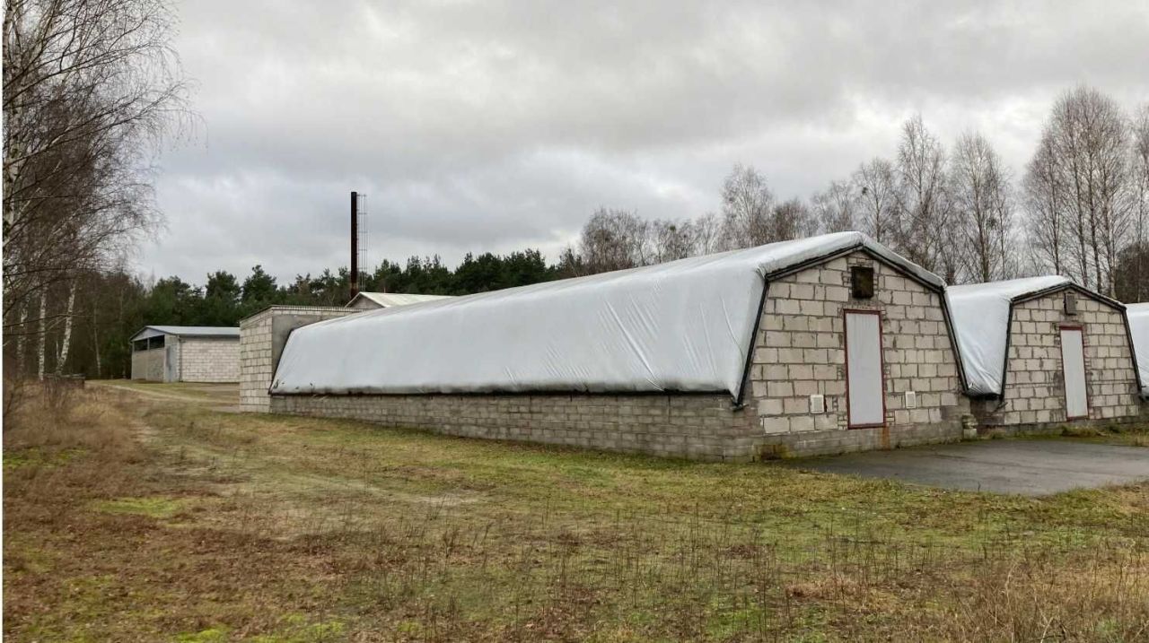 Hala/magazyn Bielsko. Zdjęcie 6