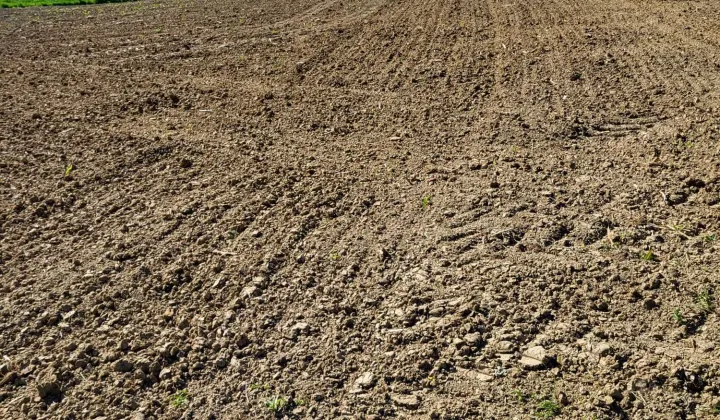 Działka budowlana Czerteż