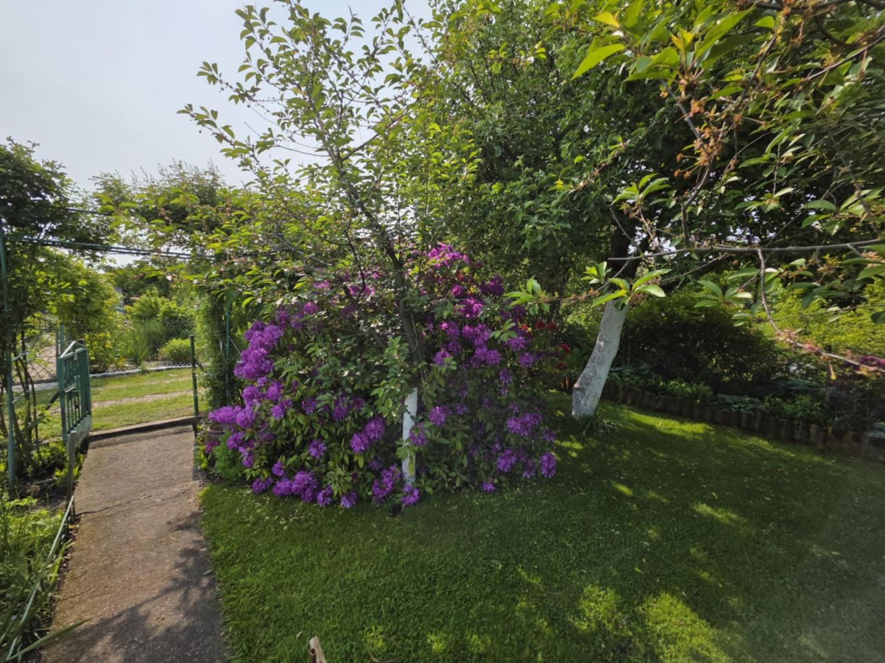 Działka rod Kołobrzeg, ul. Bolesława Krzywoustego. Zdjęcie 9