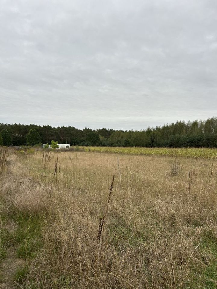 Działka budowlana Zofibór. Zdjęcie 4