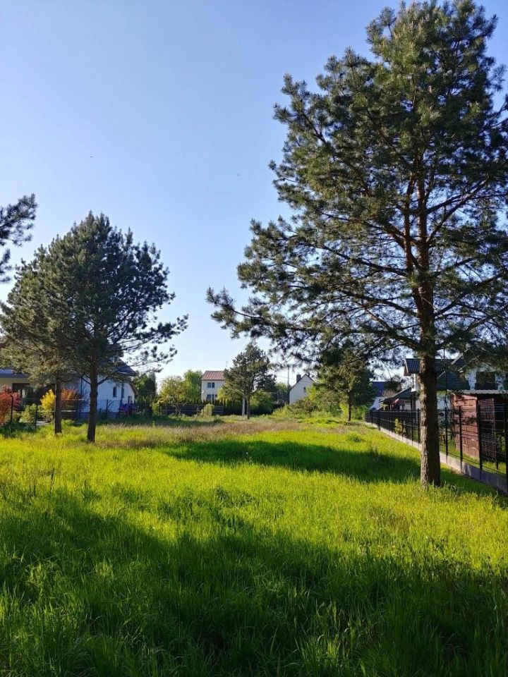 Działka rolno-budowlana Zabieżki, ul. Złotej Jesieni. Zdjęcie 3