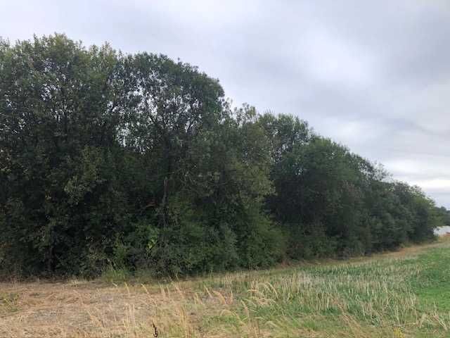 Działka budowlana Rymanów, ul. Bartoszów. Zdjęcie 1