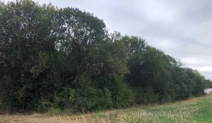 Działka budowlana Rymanów, ul. Bartoszów