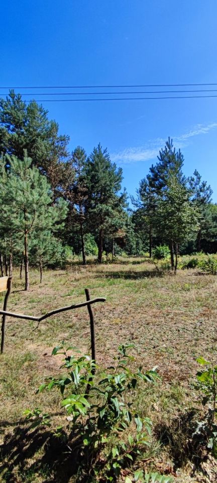 Działka budowlana Skoki. Zdjęcie 7