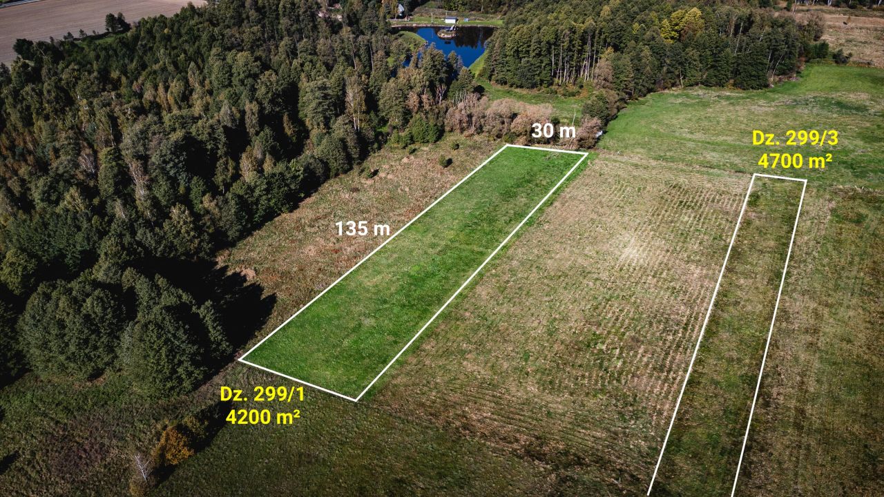 Działka rolna Żebrak