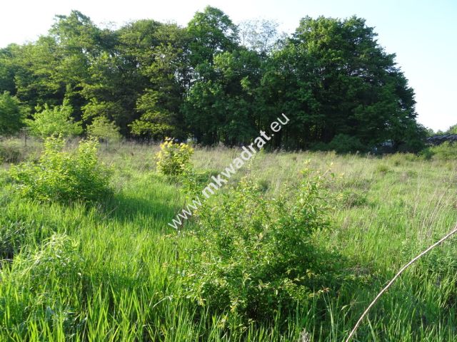 Działka inwestycyjna Otrębusy. Zdjęcie 2