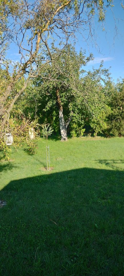 Działka rod Międzychód, ul. Chopina. Zdjęcie 8