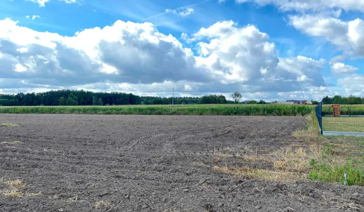 Działka budowlana Zbiersk-Kolonia