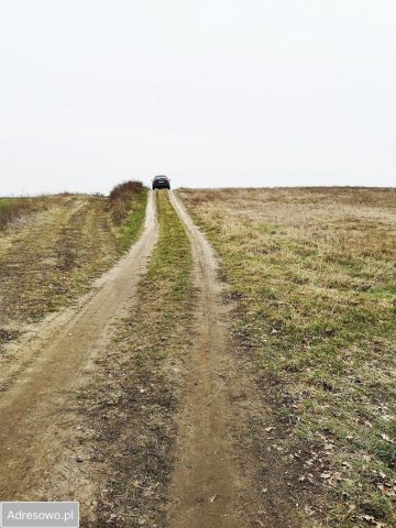 Działka rolna Naroczyce. Zdjęcie 3