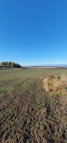 Działka budowlana Nowa Wieś Kętrzyńska. Zdjęcie 1